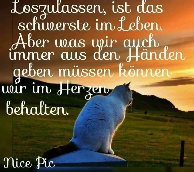 Condolence image of Für das kleine Engelchen Marpeli und Mama Elisabeth ❤️