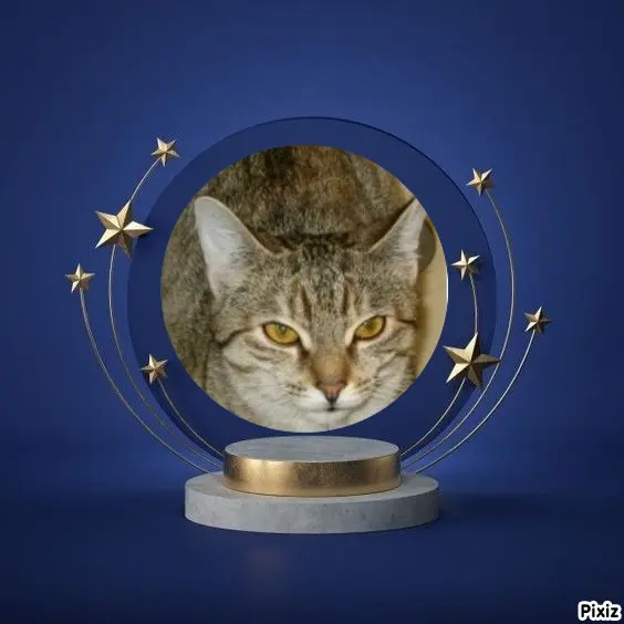 Condolence image of Tanja mit Timmy im Herzen 