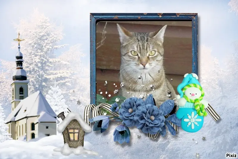 Condolence image of Sternchenpost ⭐