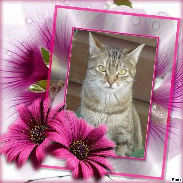 Condolence image of Patricia mit Bunny ❤️