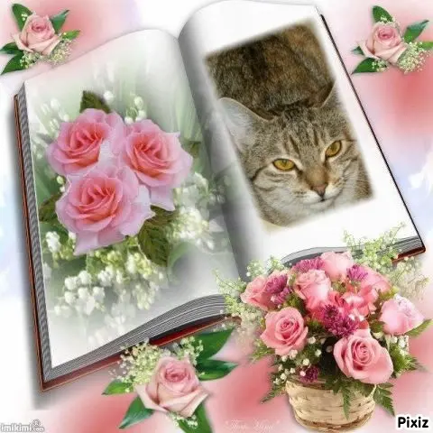 Condolence image of Tanja mit Timmy im Herzen