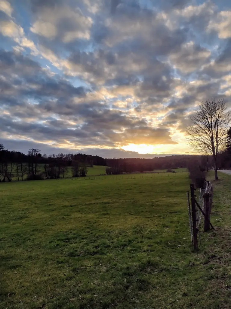 Condolence image of Corinna mit Emma, Jengi, Pummelchen und anderen Sternleine im Herzen