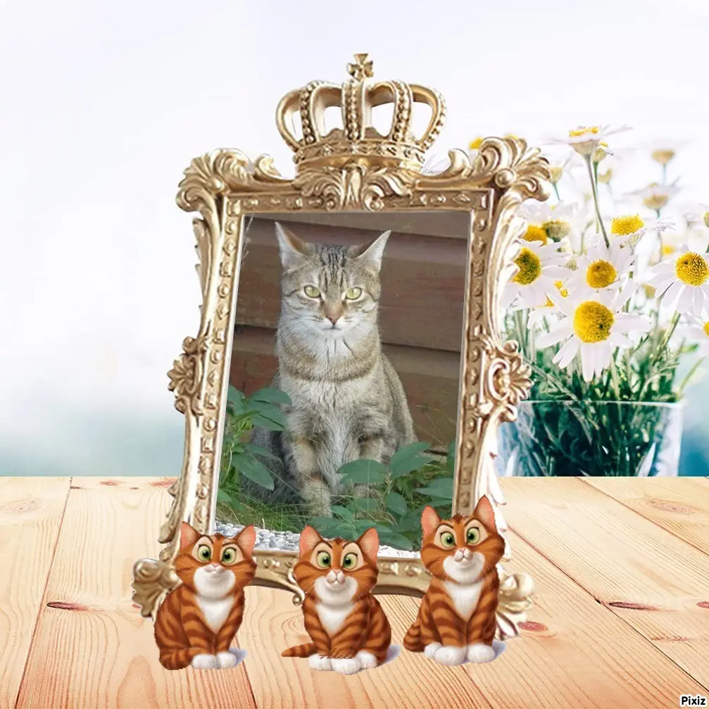 Condolence image of Sternchenpost ⭐