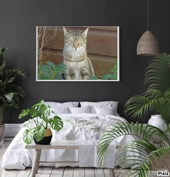 Condolence image of Patricia mit Bunny im❤️ 