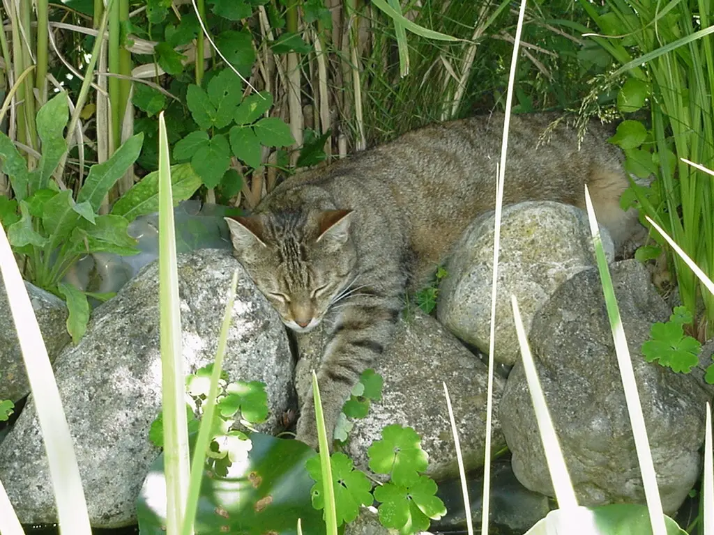 Condolence image of an meine Kleine ♥