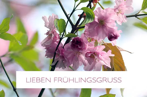 Condolence image of Für Marpeli ❤️ Christilein ❤️ und Arafat ❤️