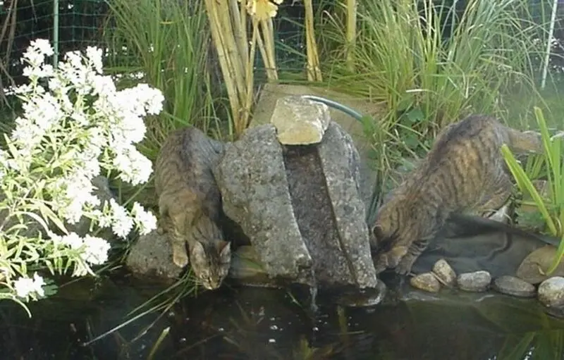 Condolence image of ♥♥♥♥♥♥♥♥♥♥