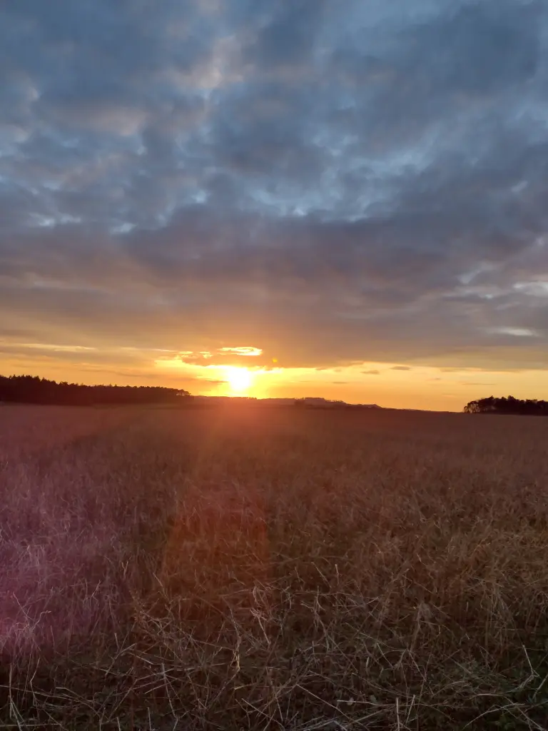 Condolence image of Corinna mit Emma, Jengi, Pummelchen und anderen Sternleine im Herzen