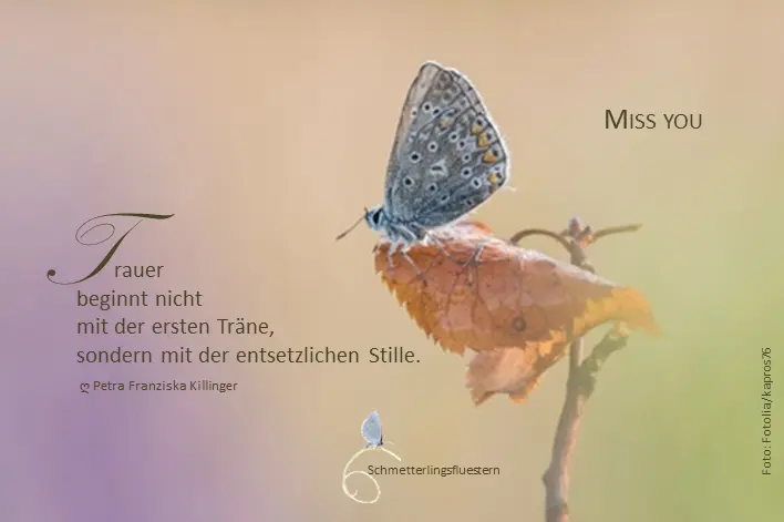 Condolence image of Für Marple ❤️ von Mama Dodo