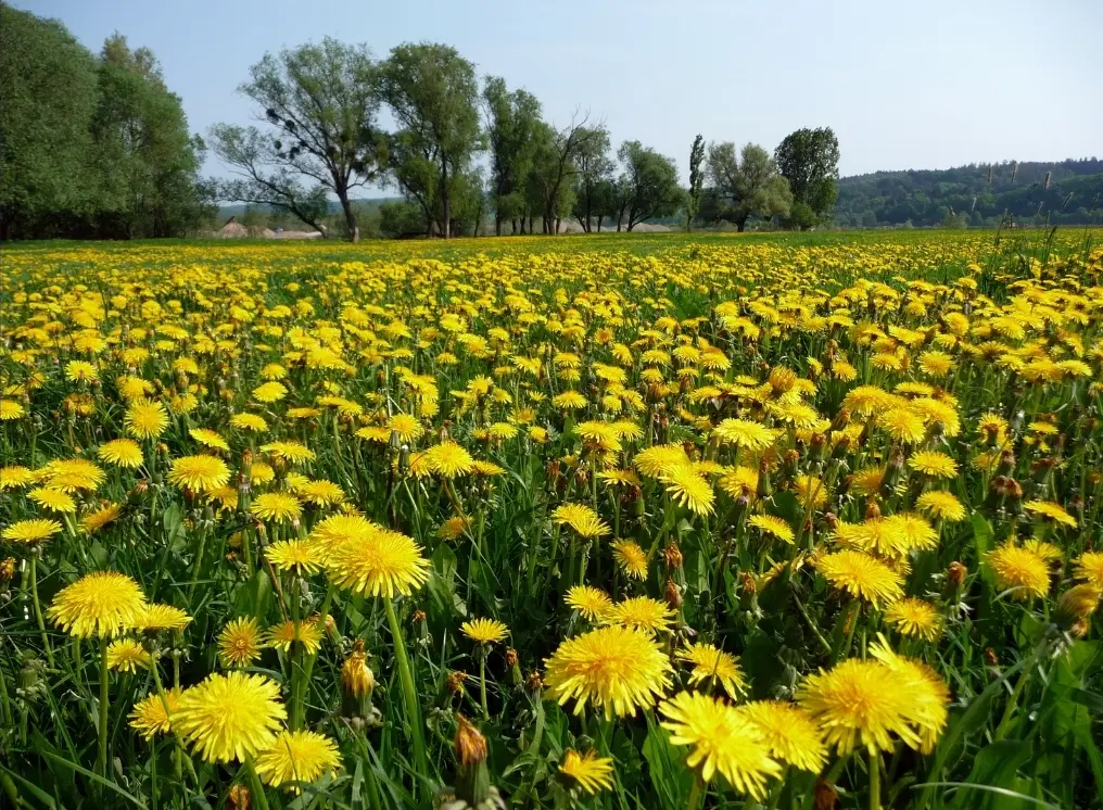 Condolence image of Daniela  mit Pauline im ♥️