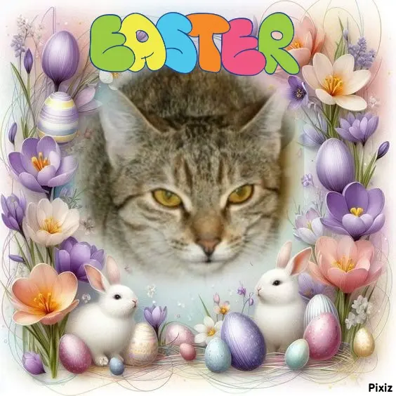 Condolence image of Tanja mit Timmy im Herzen