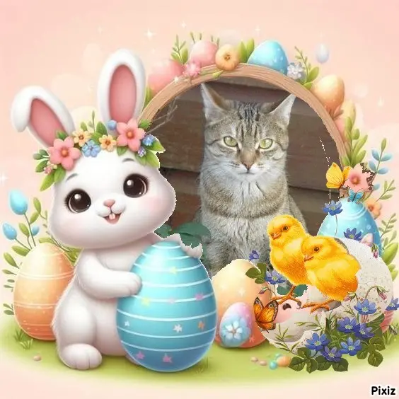 Condolence image of Ostergrüße ❤️