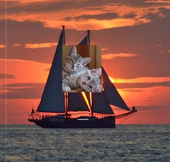 Condolence image of an mein Marpeli ♥