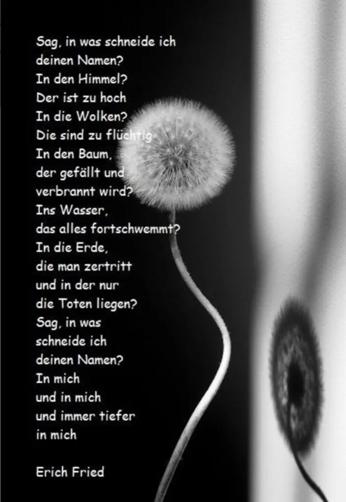 Condolence image of An Marpeli und Elisabeth 