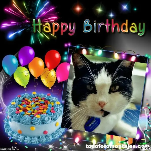 Condolence image of Tanja mit Timmy im Herzen 