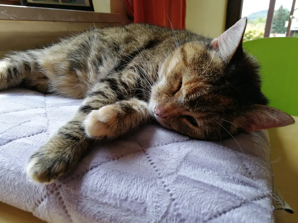 Condolence image of Daniela  mit Pauline im ♥️