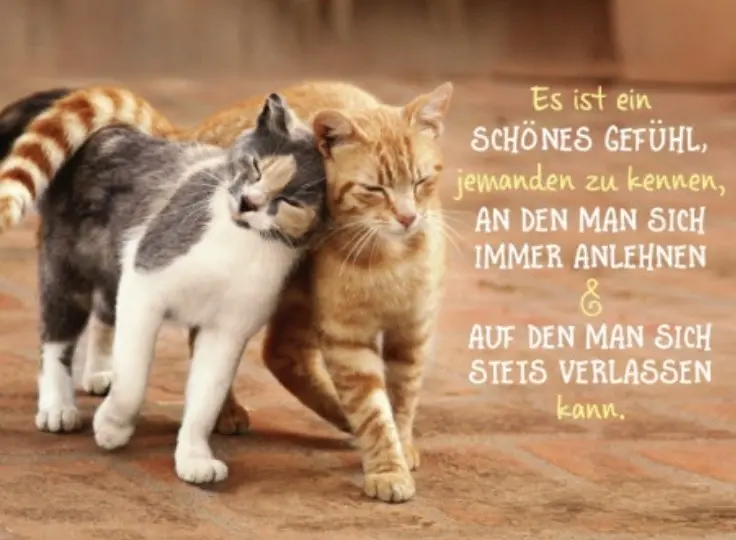 Condolence image of An Marpeli und Elisabeth 