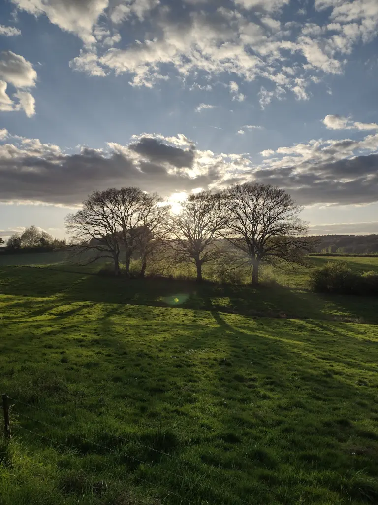 Condolence image of Corinna mit Emma, Jengi, Pummelchen und anderen Sternleine im Herzen