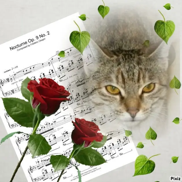 Condolence image of Tanja mit Timmy im Herzen 