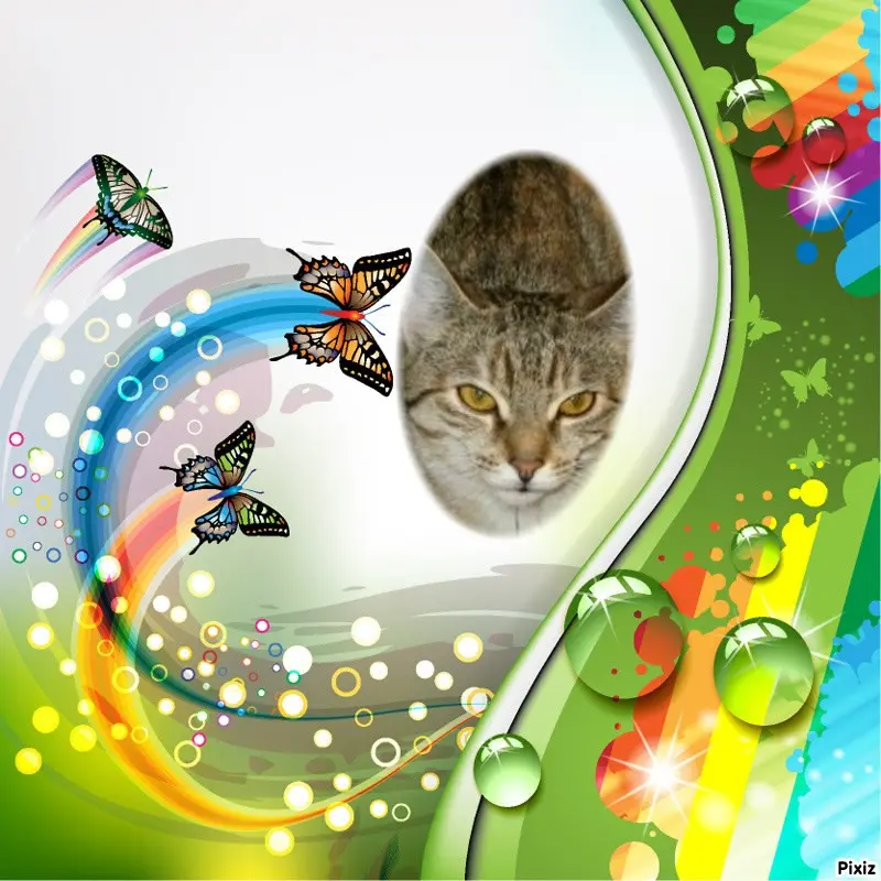 Condolence image of Tanja mit Timmy im Herzen 