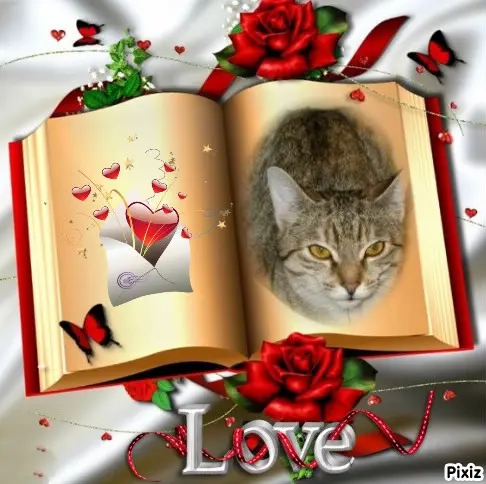 Condolence image of Tanja mit Timmy im Herzen 