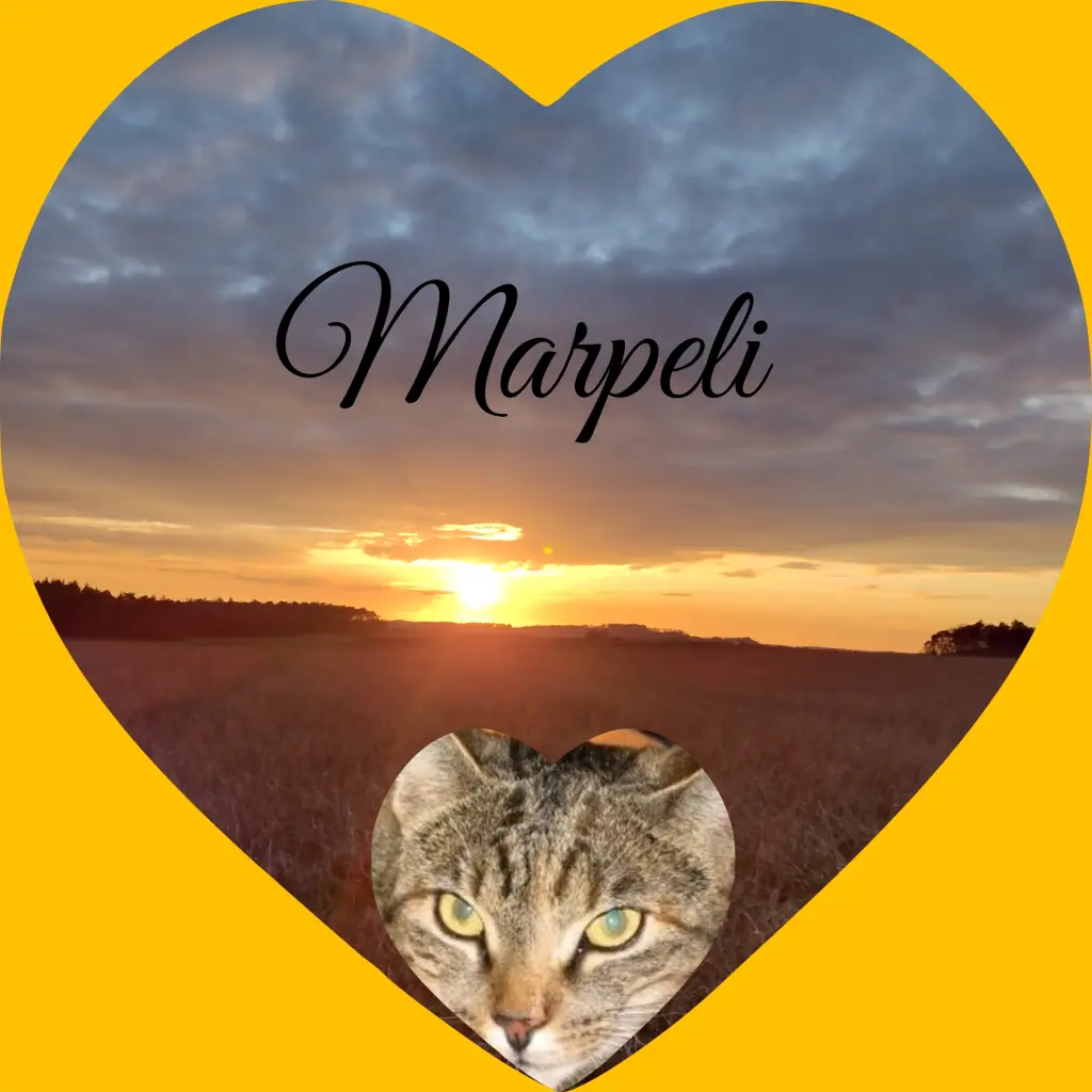 Condolence image of Corinna mit Emma, Jengi, Pummelchen und anderen Sternleine im Herzen