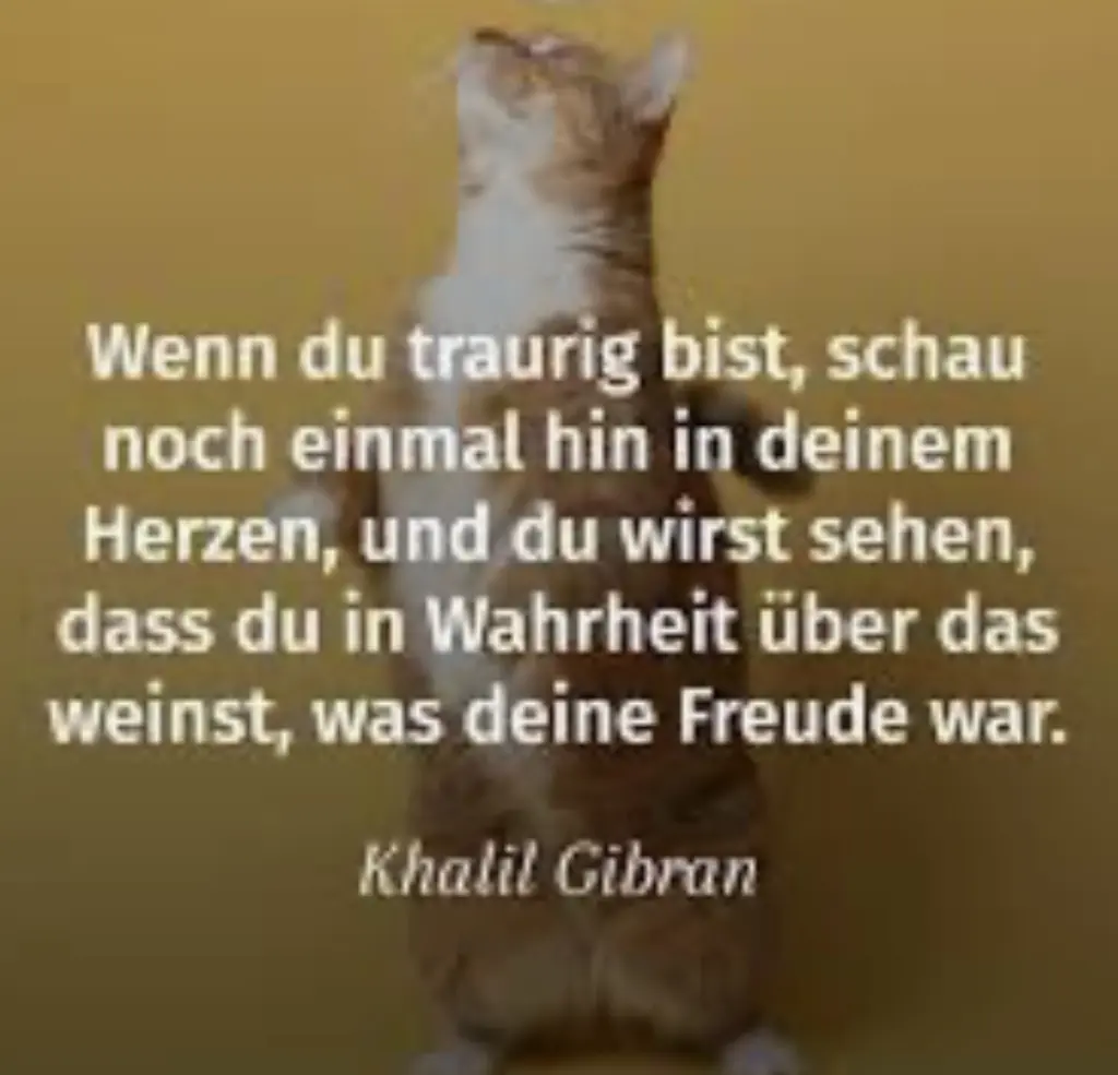 Condolence image of An Marple und Elisabeth