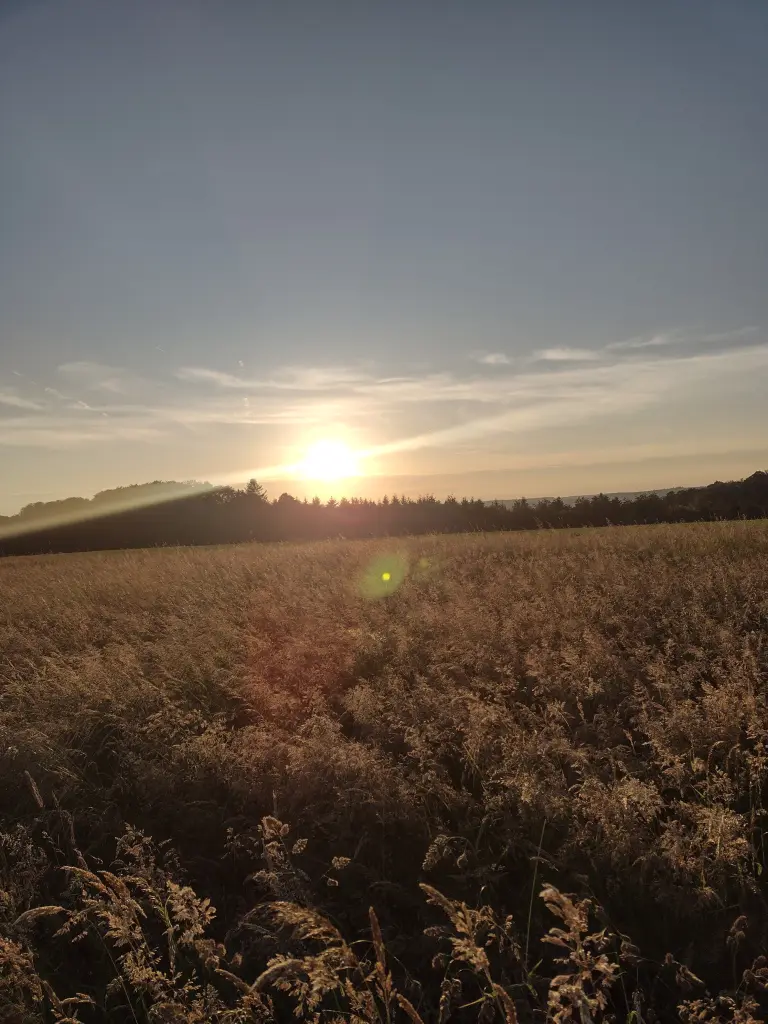 Condolence image of Corinna mit Emma, Jengi, Pummelchen und anderen Sternleine im Herzen