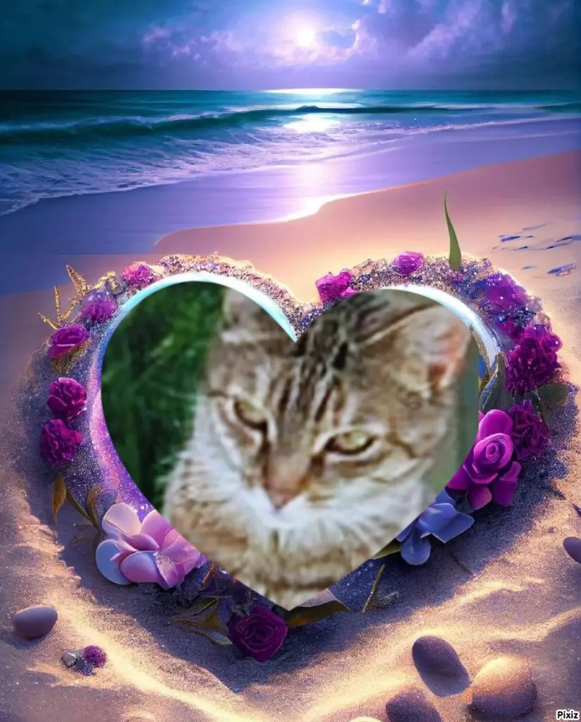 Condolence image of Für Dich kleines Marpelchen ♥️