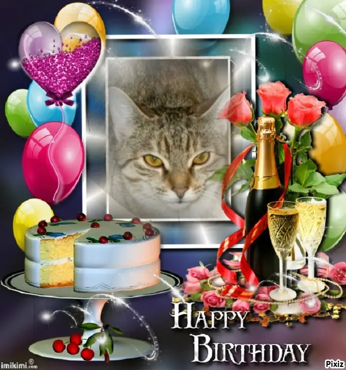 Condolence image of Tanja mit Timmy im Herzen 