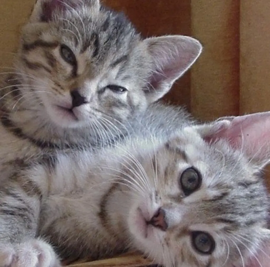 Condolence image of An Marpeli und Christie