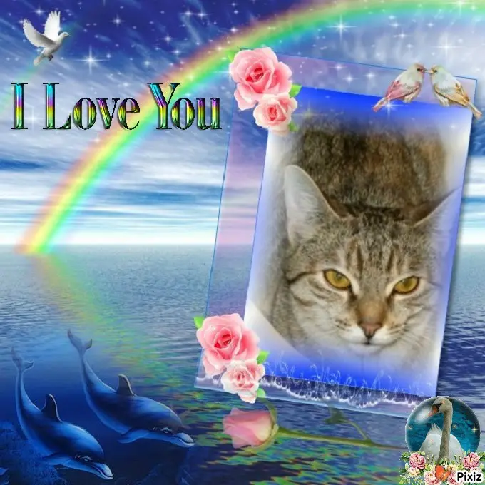 Condolence image of Tanja mit Timmy im Herzen 