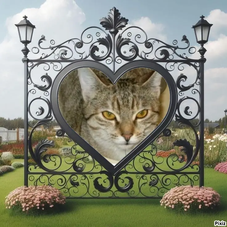 Condolence image of Tanja mit Timmy im Herzen 