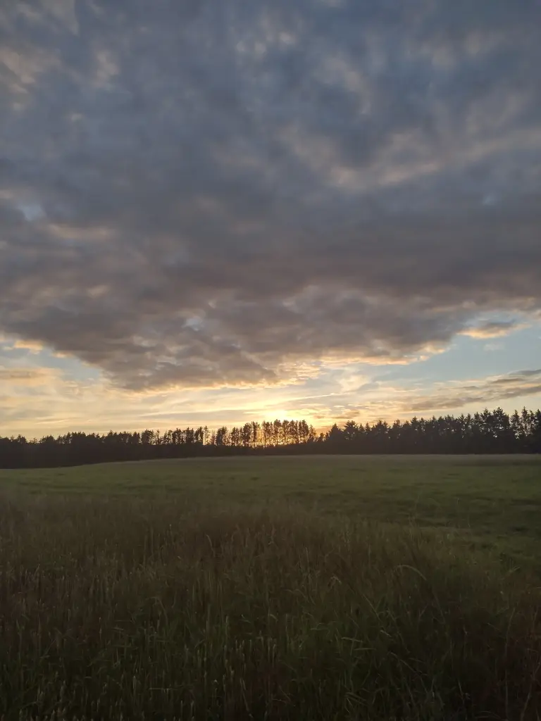 Condolence image of Corinna mit Emma, Jengi, Pummelchen und anderen Sternleine im Herzen