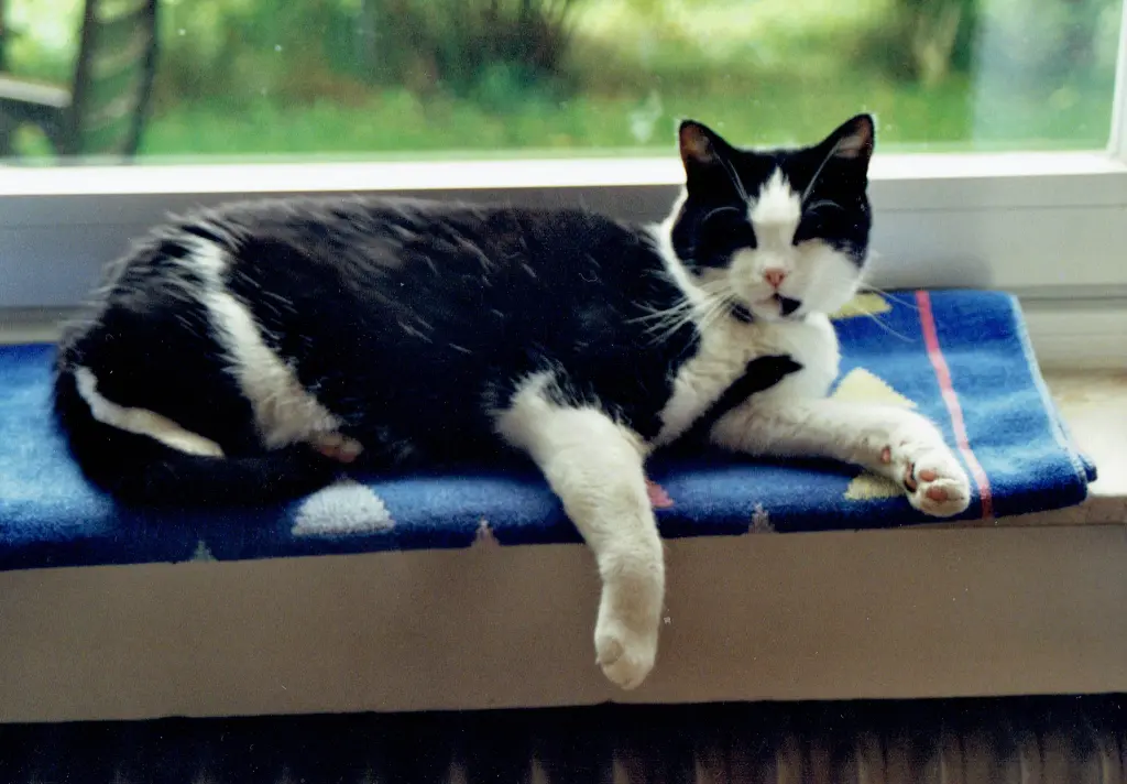 Condolence image of ♥♥♥♥♥♥♥♥♥♥♥♥♥♥♥♥♥♥♥