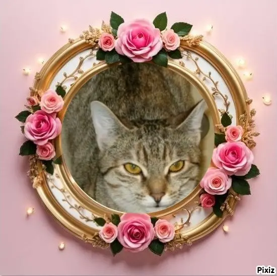 Condolence image of Tanja mit Timmy im Herzen