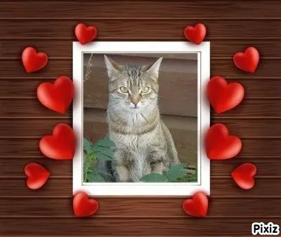 Condolence image of Unbekannt