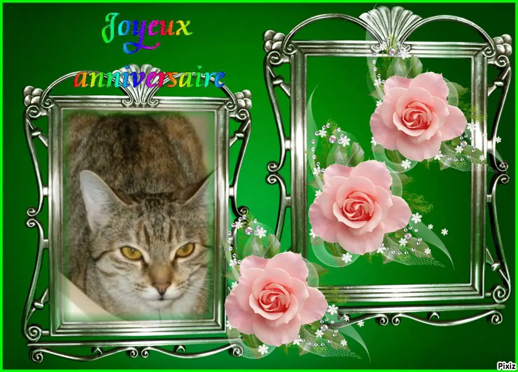 Condolence image of Tanja mit Timmy im Herzen 