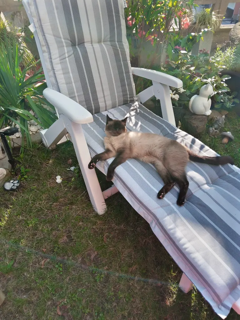 Condolence image of Für Dich kleines Marpelchen ♥️