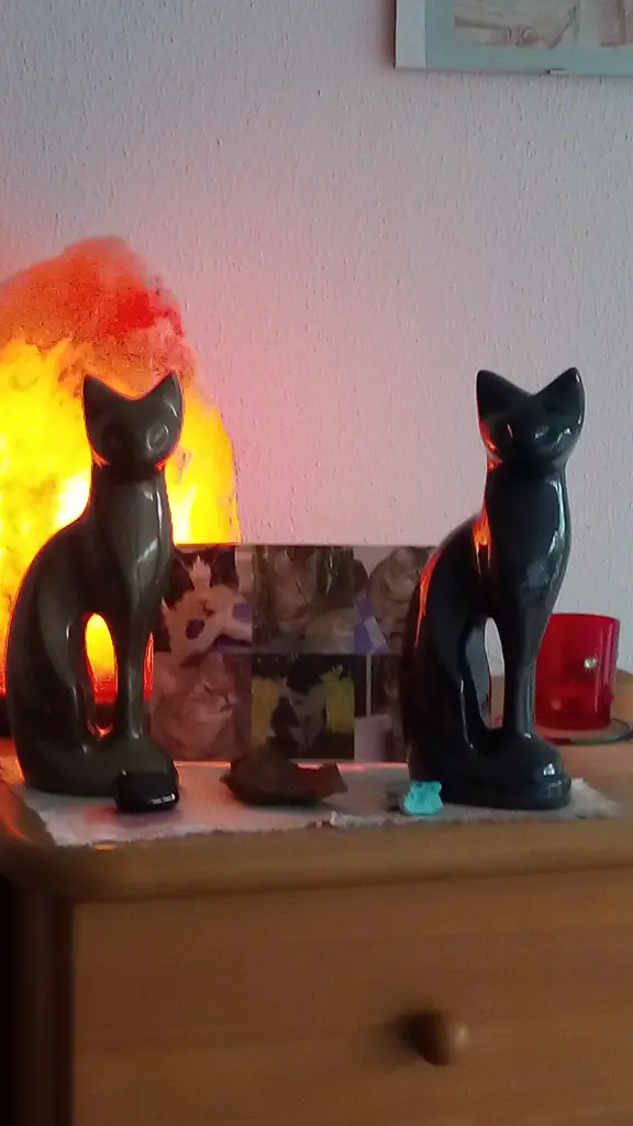 Condolence image of an mein Marpeli ♥