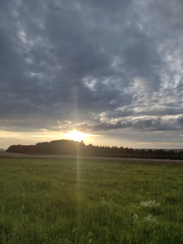 Condolence image of Corinna ❤️