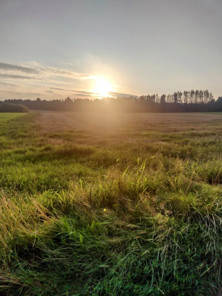 Condolence image of Corinna ❤️