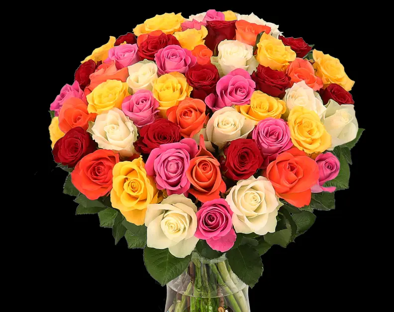 Condolence image of Corinna ❤️