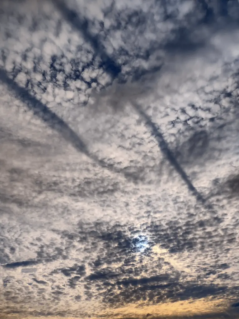 Condolence image of Corinna ♥️