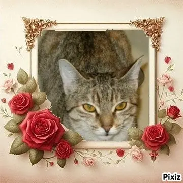 Condolence image of Tanja mit Timmy im Herzen 