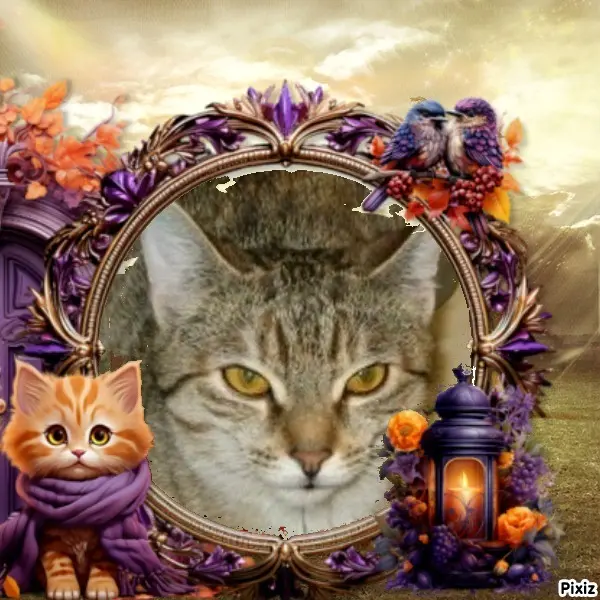 Condolence image of Tanja mit Timmy im Herzen 