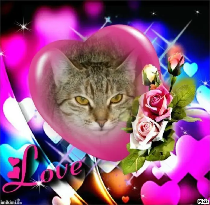 Condolence image of Tanja mit Timmy im Herzen 