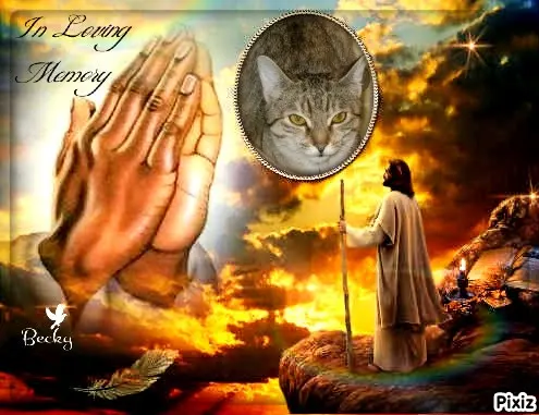 Condolence image of Tanja mit Timmy im Herzen 