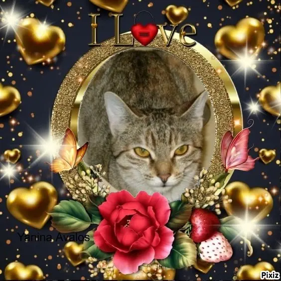 Condolence image of Tanja mit Timmy im Herzen 