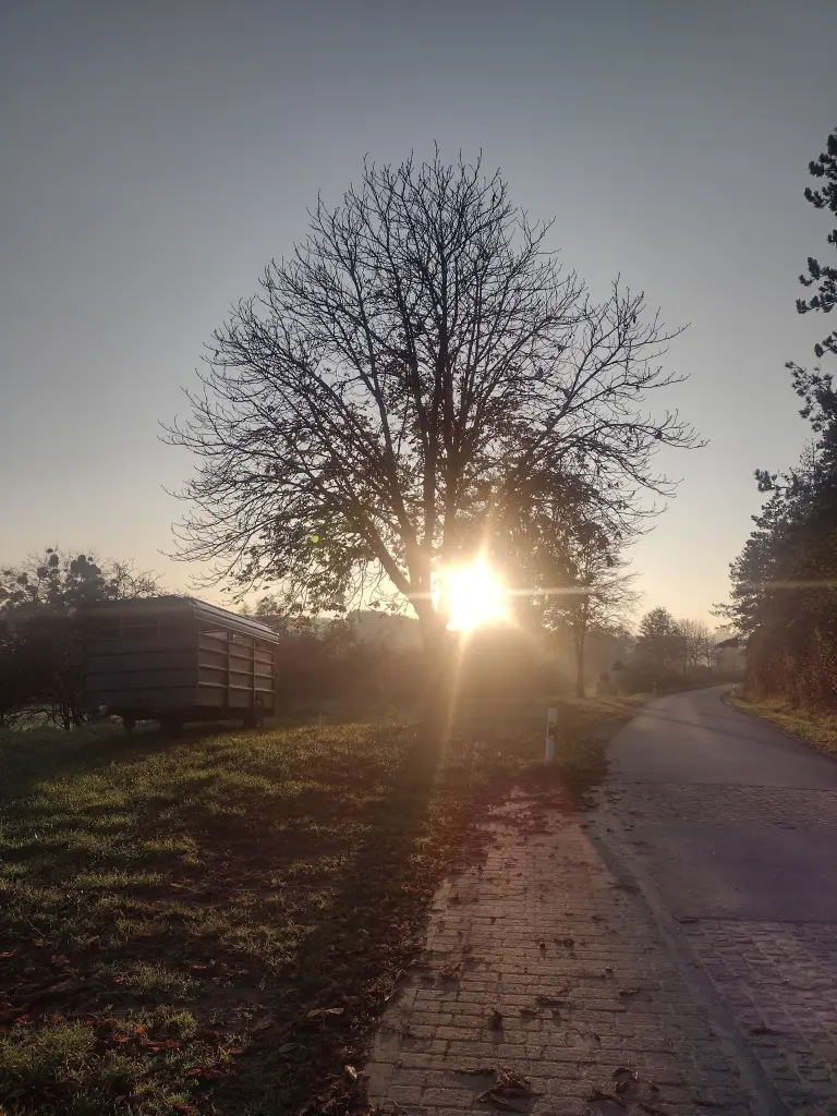 Condolence image of Corinna ❤️